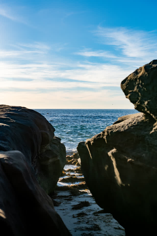 The cliffs, the ocean and open country at Windansea.