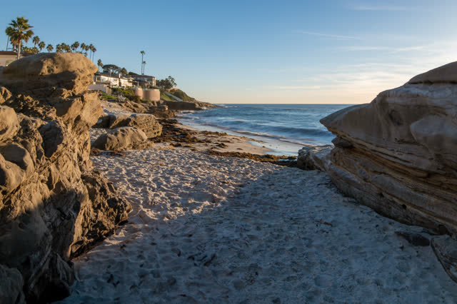 The beach, the surf and palm trees at Windansea.