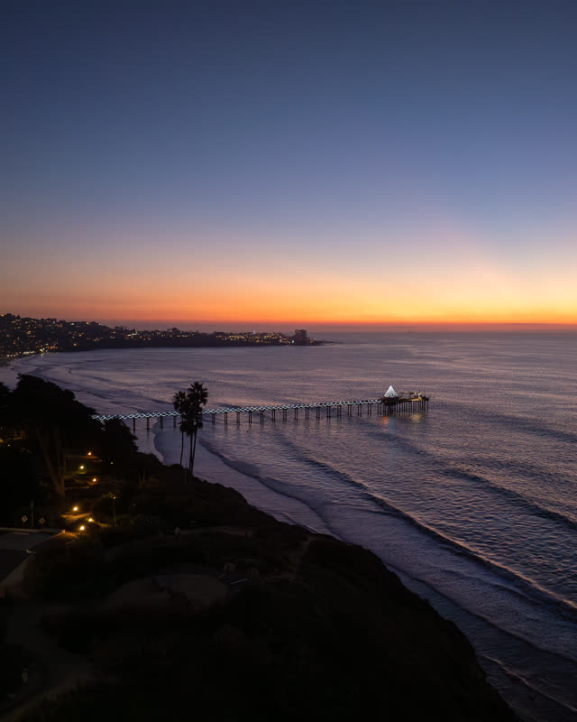 Aerial view of the beach, the pier and palm trees at La Jolla Shores.