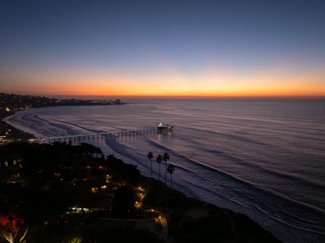 Aerial view of the beach, the pier and palm trees at La Jolla Shores.