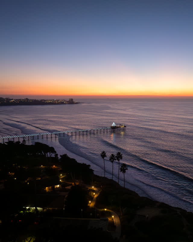 Aerial view of the beach, the pier and palm trees at La Jolla Shores.