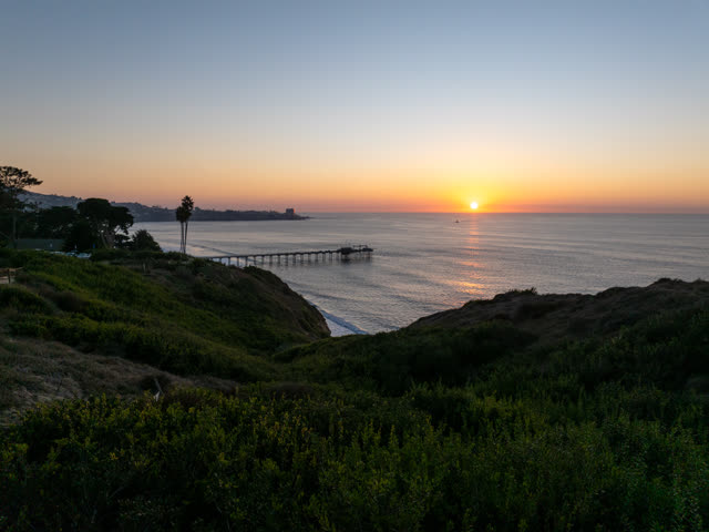 Elevated view of the cliffs, the pier and palm trees at La Jolla Shores.