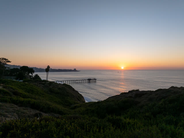 Elevated view of the cliffs, the pier and palm trees at La Jolla Shores.
