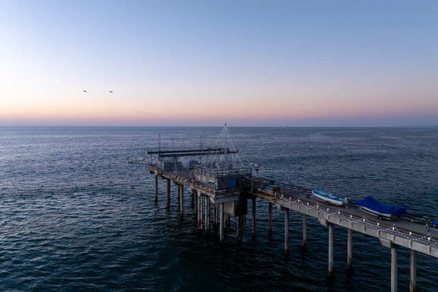 Low aerial view of the beach, the pier and wildlife at La Jolla Shores.