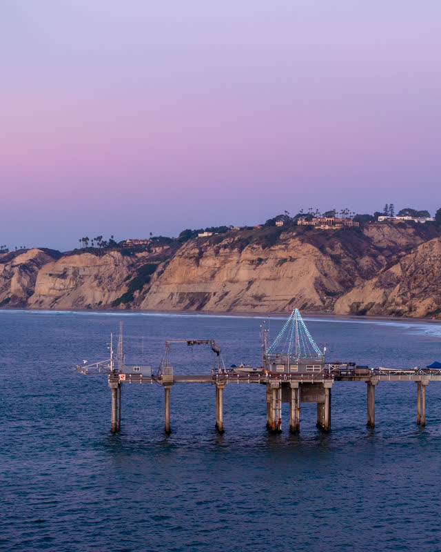 Low aerial view of the beach, the pier and palm trees at La Jolla Shores.