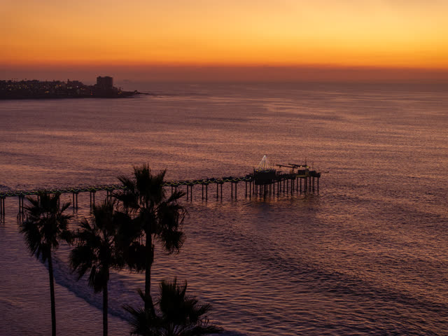 Low aerial view of the beach, the pier and palm trees at La Jolla Shores.
