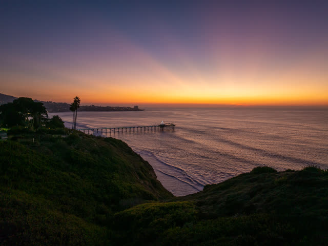 Elevated view of the cliffs, the pier and palm trees at La Jolla Shores.