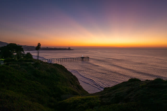 Elevated view of the cliffs, the pier and palm trees at La Jolla Shores.