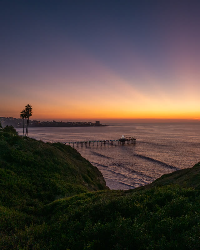 Elevated view of the cliffs, the pier and palm trees at La Jolla Shores.
