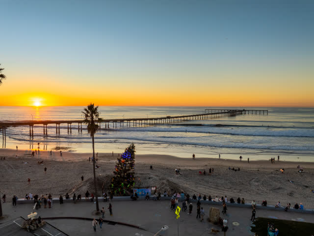 Elevated view of the beach, the pier and palm trees in Ocean Beach, with a crowd gathered.