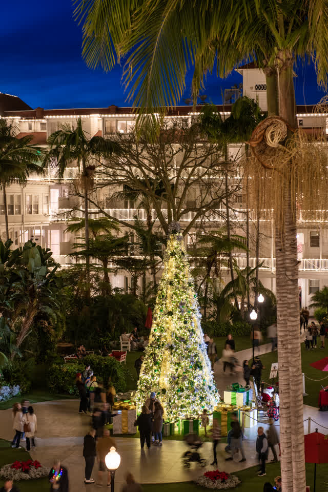 Elevated view of a residential street, palm trees and the buildings at Coronado Beach, with a crowd gathered.