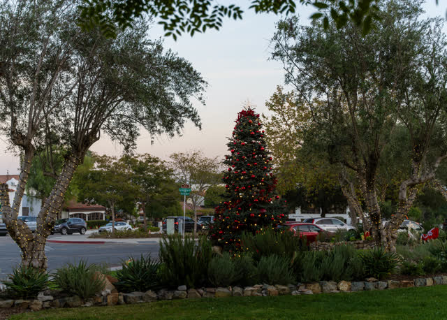 A residential street, homes and traffic at Covenant.