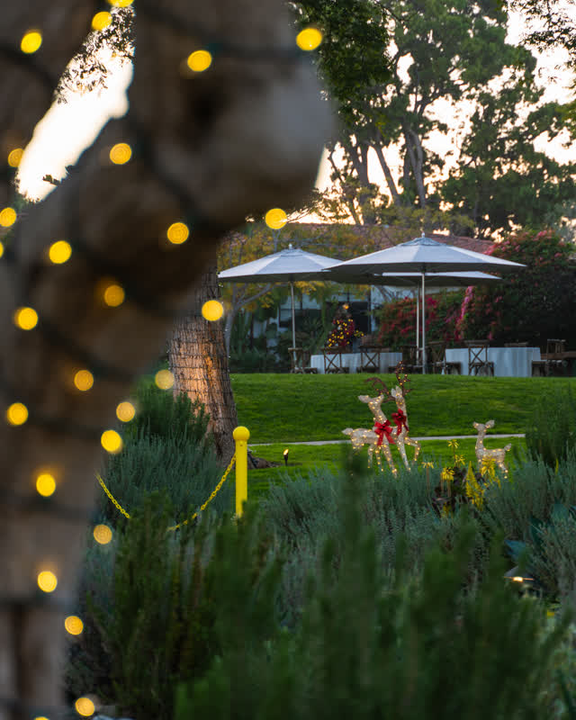 A park, the buildings and open country at Covenant.