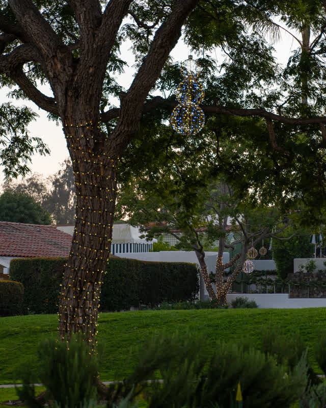 A park, homes and the buildings at Covenant.
