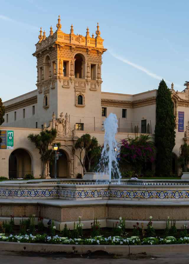 A park, palm trees and the buildings in Balboa Park.
