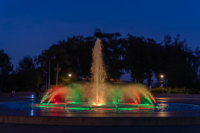 A park, palm trees and open country in Balboa Park.
