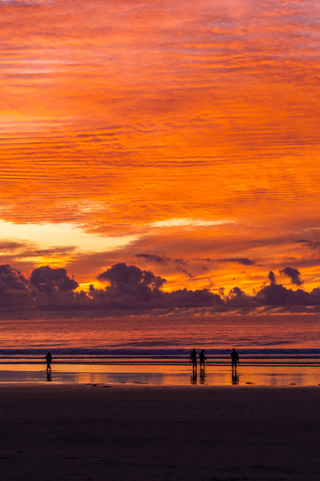 The beach, the ocean and open country at La Jolla Shores, with people walking.