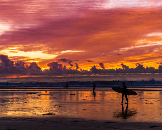The beach, the surf and wildlife at La Jolla Shores, with people walking.