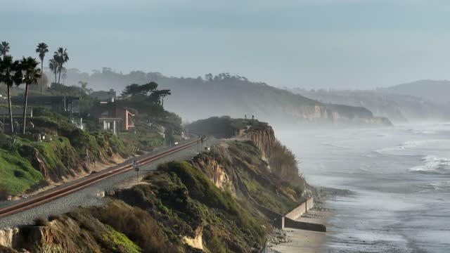 The cliffs, the surf and palm trees in Del Mar, with people walking.