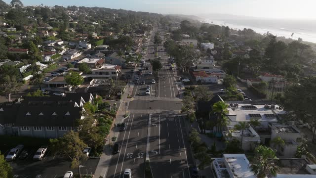 Aerial view of a residential street, palm trees and the ocean in Del Mar.