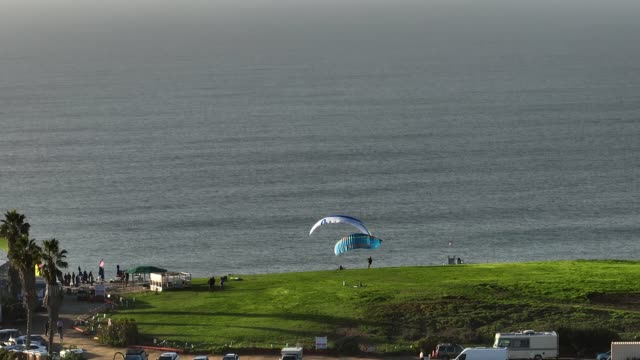 Elevated view of the cliffs, palm trees and the ocean at Black’s Beach, with a crowd gathered.
