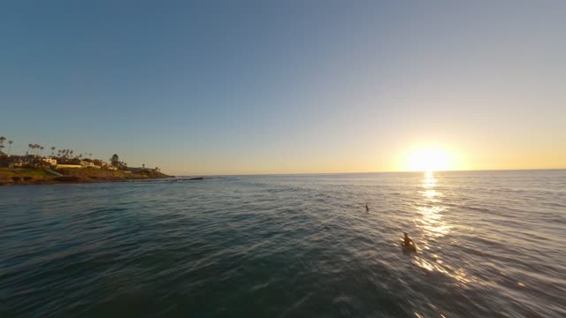 Low aerial view of the beach, palm trees and the ocean at Windansea, with swimmers in the water.