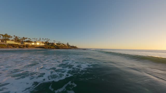 The beach, the surf and palm trees at Windansea.