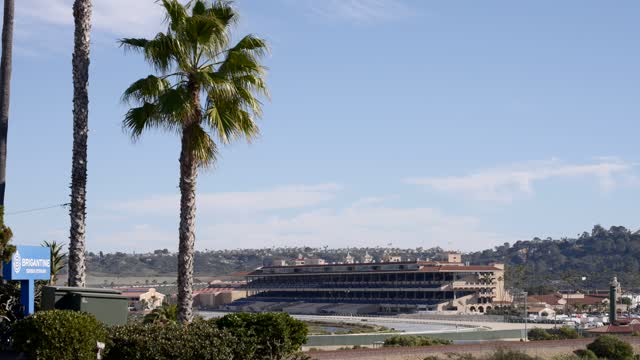 The country inland, palm trees and the buildings in Del Mar.