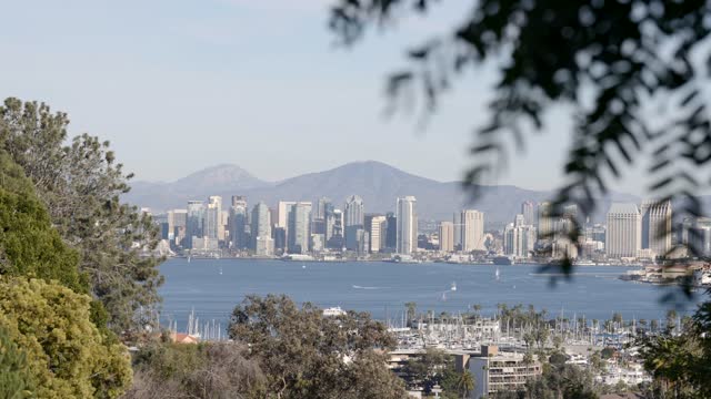 Elevated view of the harbor, the skyline and boats in Downtown San Diego.