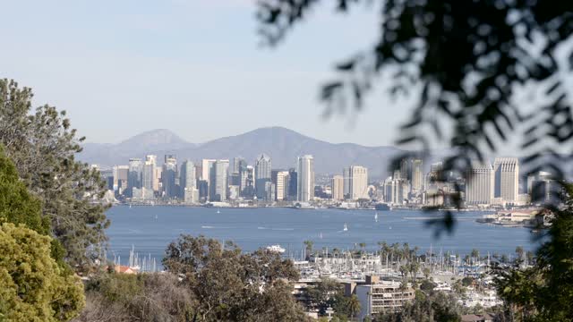 Elevated view of the downtown streets, the skyline and boats in Downtown San Diego.