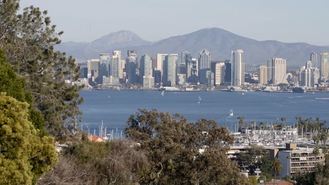 Elevated view of the harbor, the skyline and boats in Downtown San Diego, with boats out.