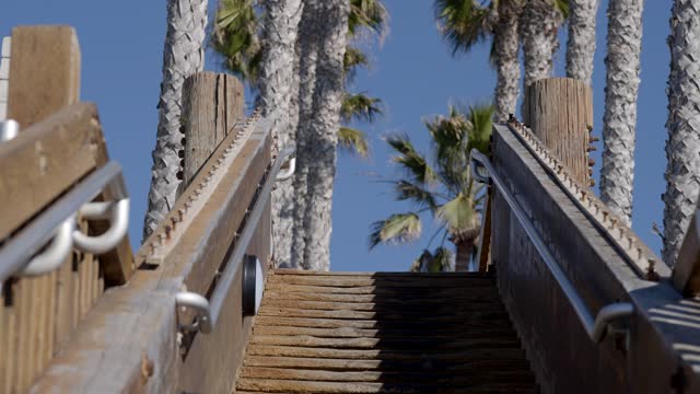 The beach, palm trees and open country at Leucadia.