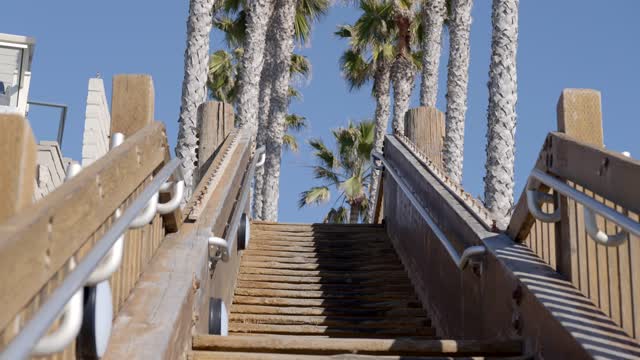 Close view of the beach, palm trees and open country at Leucadia.