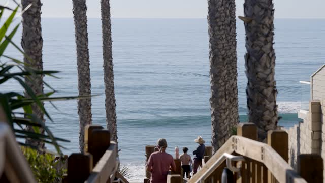 Elevated view of the beach, the surf and palm trees at Leucadia, with people walking.