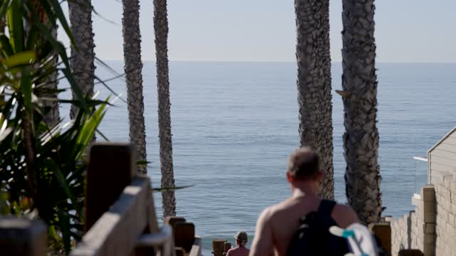 Elevated view of the beach, palm trees and the ocean at Leucadia, with people walking.