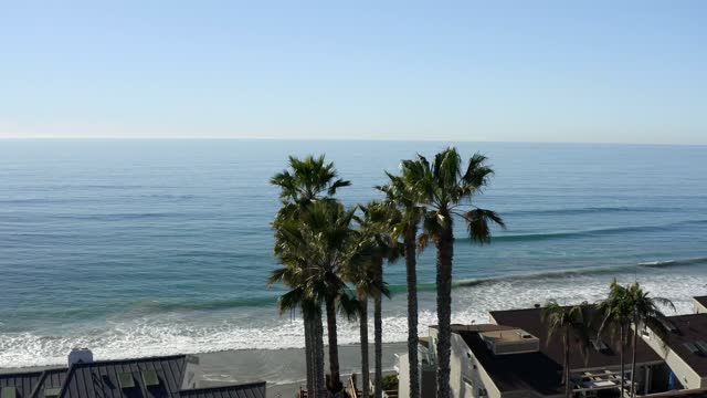 Elevated view of the beach, the surf and palm trees at Leucadia.