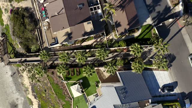 Aerial view of a residential street, palm trees and homes at Leucadia.