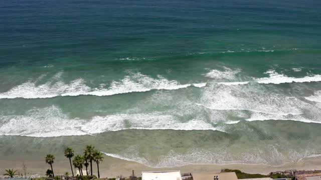 Aerial view of the beach, the surf and palm trees at Leucadia.