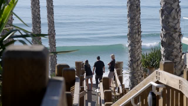 Elevated view of the beach, the surf and palm trees at Leucadia, with people walking.