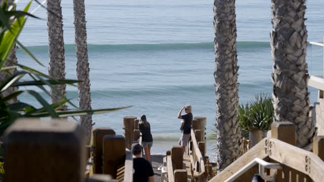 Elevated view of the beach, the surf and palm trees at Leucadia, with people walking.