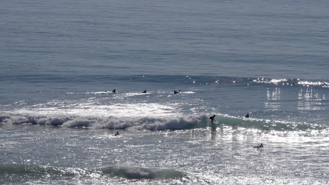 Elevated view of the beach, the surf and the ocean at Leucadia, with surfers out.