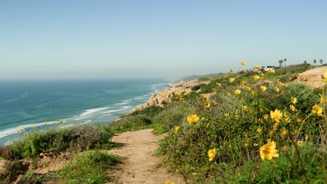 Elevated view of the cliffs, the ocean and the beach at Black’s Beach.