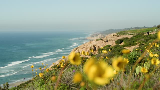 Elevated view of the cliffs, the surf and the ocean at Black’s Beach, with people walking.