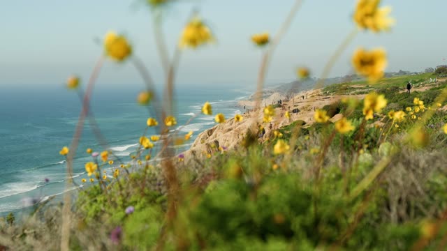 Elevated view of the cliffs, the surf and the ocean at Black’s Beach, with people walking.