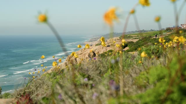 Elevated view of the cliffs, the surf and the ocean at Black’s Beach, with people walking.