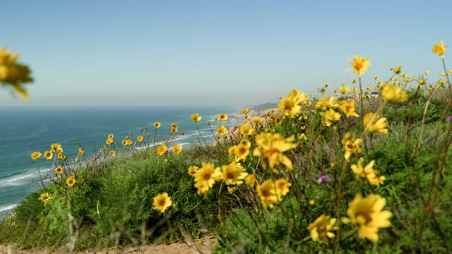 Elevated view of the cliffs, the ocean and open country at Black’s Beach.