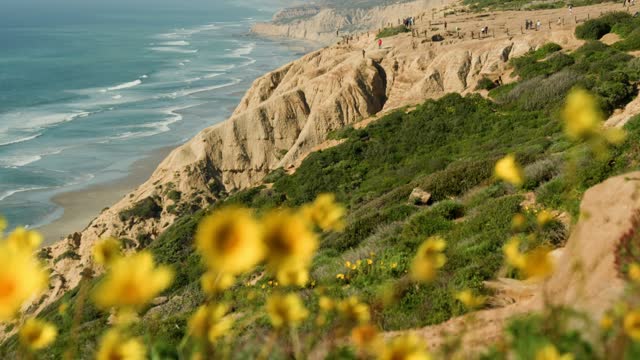 Elevated view of the cliffs, the surf and the ocean at Black’s Beach, with people walking.