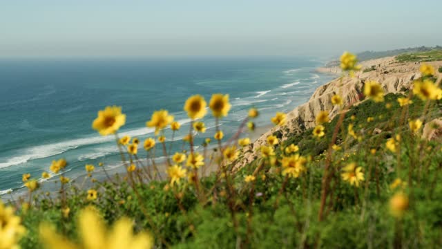 Elevated view of the cliffs, the surf and the ocean at Black’s Beach.