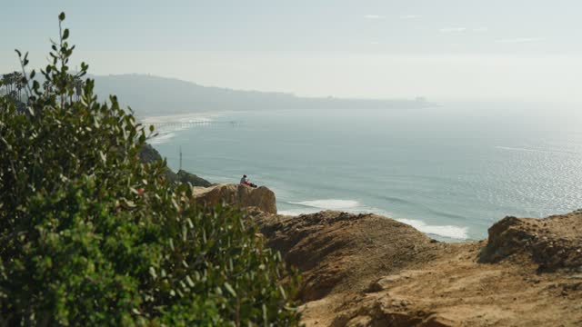 Elevated view of the cliffs, the pier and the ocean at Black’s Beach.
