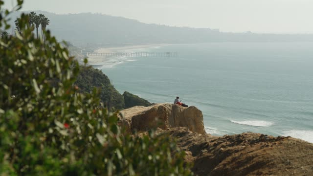 Elevated view of the cliffs, the pier and the ocean at Black’s Beach.